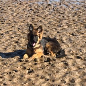 Meet your Posher, Derek